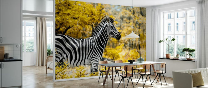 PHOTOWALL / Awesome South Africa - Burchell&#039;s Zebra (e328617)