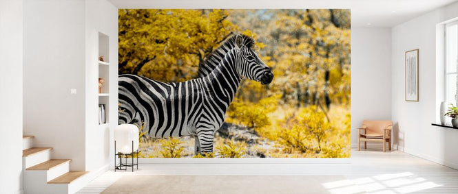 PHOTOWALL / Awesome South Africa - Burchell&#039;s Zebra (e328617)