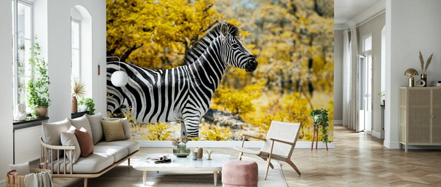 PHOTOWALL / Awesome South Africa - Burchell&#039;s Zebra (e328617)