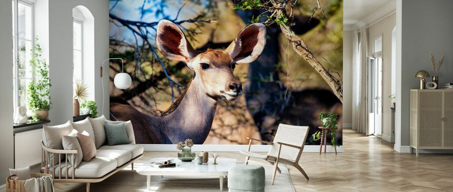 PHOTOWALL / Awesome South Africa - Nyala Antelope (e328618)