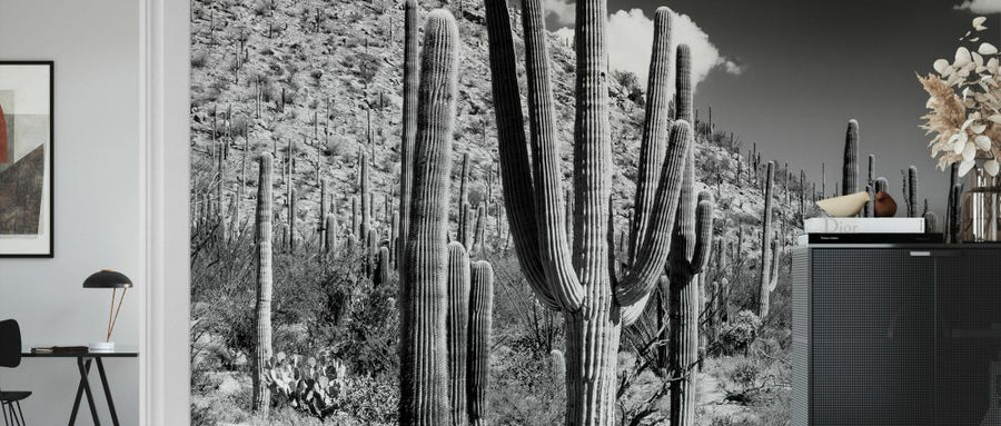 PHOTOWALL / Black Arizona - Cactus Forest (e328621)