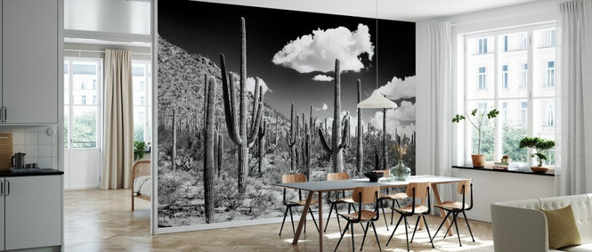 PHOTOWALL / Black Arizona - Cactus Forest (e328621)