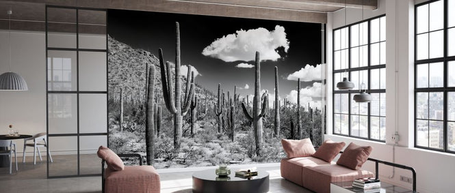 PHOTOWALL / Black Arizona - Cactus Forest (e328621)
