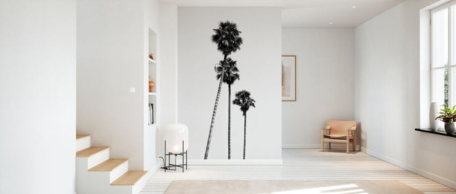 PHOTOWALL / Black California - Hollywood Palm Trees (e328629)