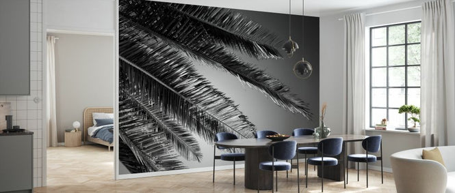 PHOTOWALL / Black California - Palm (e328630)