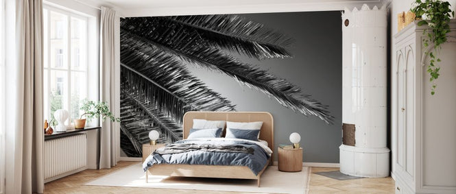 PHOTOWALL / Black California - Palm (e328630)