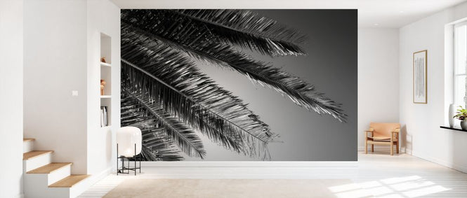 PHOTOWALL / Black California - Palm (e328630)