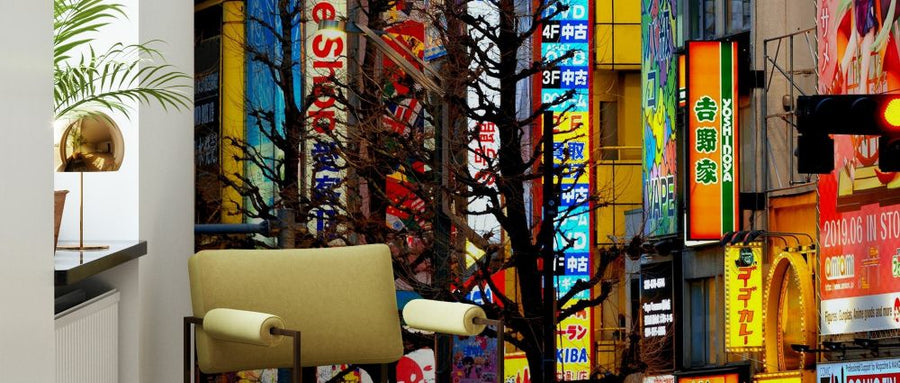 PHOTOWALL / Japan Rising Sun - Tokyo Akihabara (e328656)