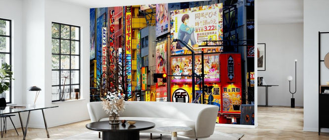 PHOTOWALL / Japan Rising Sun - Tokyo Akihabara (e328656)