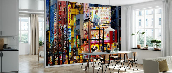 PHOTOWALL / Japan Rising Sun - Tokyo Akihabara (e328656)