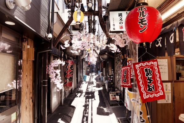 PHOTOWALL / Japan Rising Sun - Omoide Yokocho Shinjuku (e328657)
