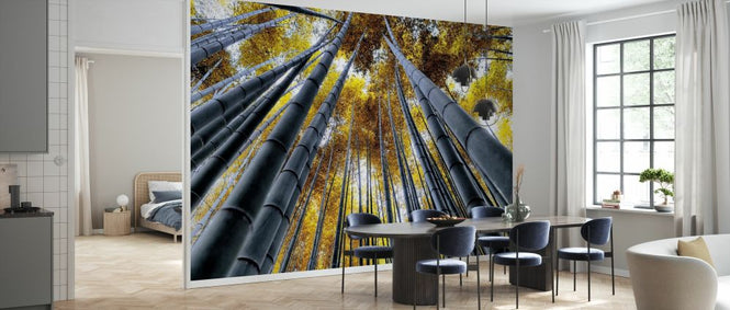 PHOTOWALL / Japan Rising Sun - Bamboo Forest Kyoto (e328658)