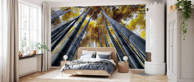 PHOTOWALL / Japan Rising Sun - Bamboo Forest Kyoto (e328658)