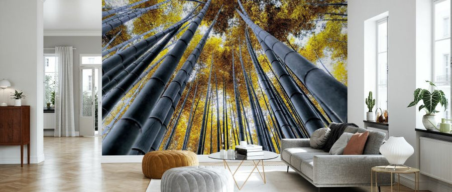 PHOTOWALL / Japan Rising Sun - Bamboo Forest Kyoto (e328658)
