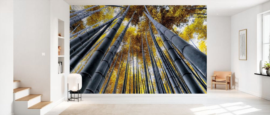 PHOTOWALL / Japan Rising Sun - Bamboo Forest Kyoto (e328658)