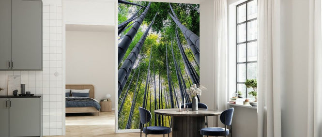 PHOTOWALL / Japan Rising Sun - Bamboo Forest Kyoto II (e328659)