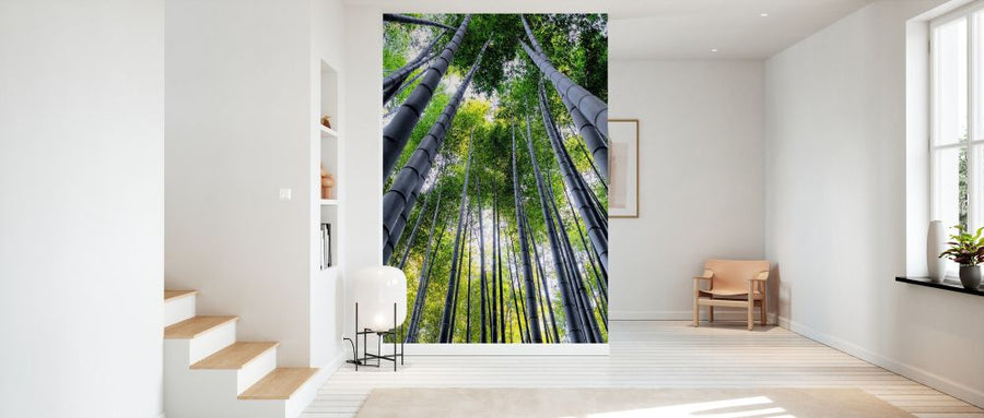 PHOTOWALL / Japan Rising Sun - Bamboo Forest Kyoto II (e328659)