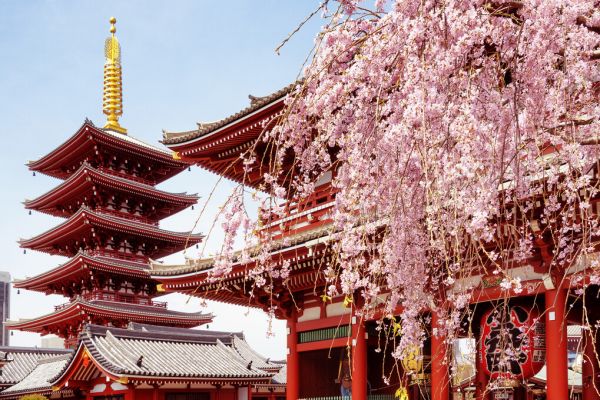 PHOTOWALL / Japan Rising Sun - Senso-Ji Temple (e328660)