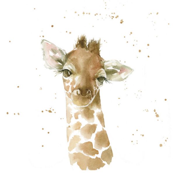 PHOTOWALL / Baby Giraffe (e328681)
