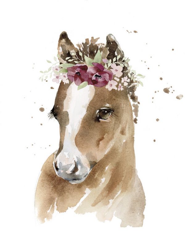 PHOTOWALL / Floral Pony (e328686)