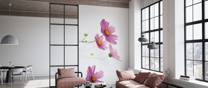 PHOTOWALL / Pale Cosmos (e328727)