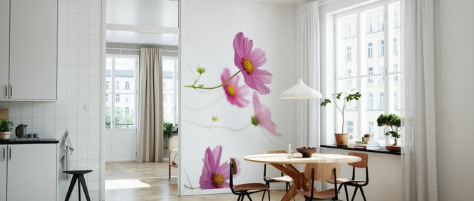 PHOTOWALL / Pale Cosmos (e328727)