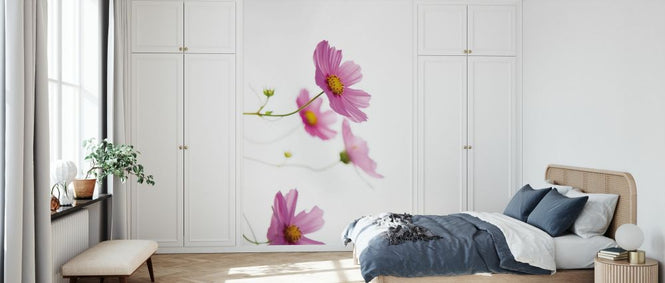 PHOTOWALL / Pale Cosmos (e328727)