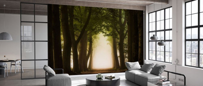 PHOTOWALL / Path Through Forest (e329221)