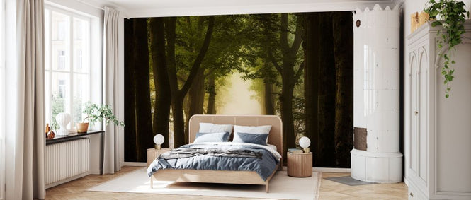 PHOTOWALL / Path Through Forest (e329221)