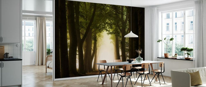 PHOTOWALL / Path Through Forest (e329221)