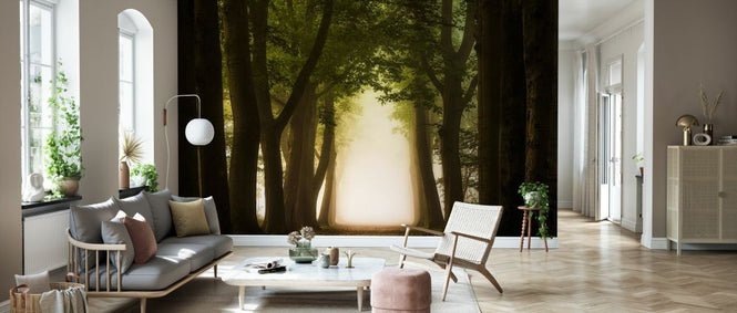 PHOTOWALL / Path Through Forest (e329221)