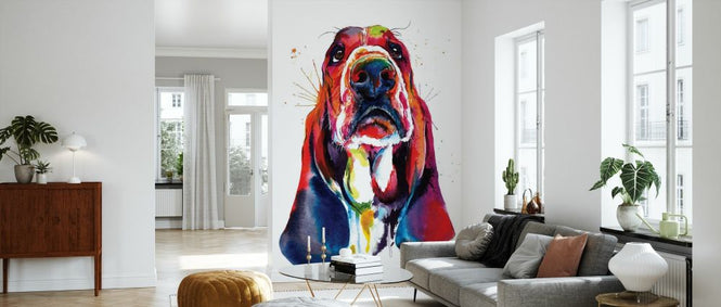 PHOTOWALL / Basset (e329036)
