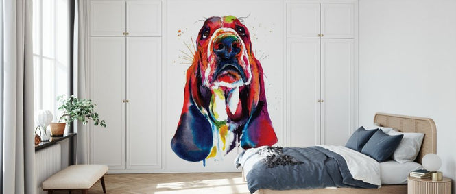 PHOTOWALL / Basset (e329036)