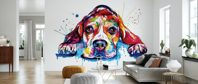 PHOTOWALL / Beagle (e329037)