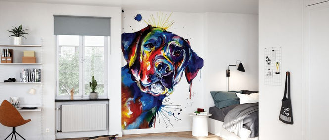 PHOTOWALL / Black Lab (e329039)