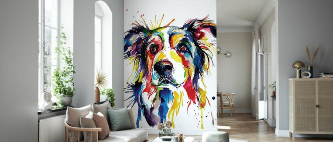 PHOTOWALL / Border Collie (e329040)