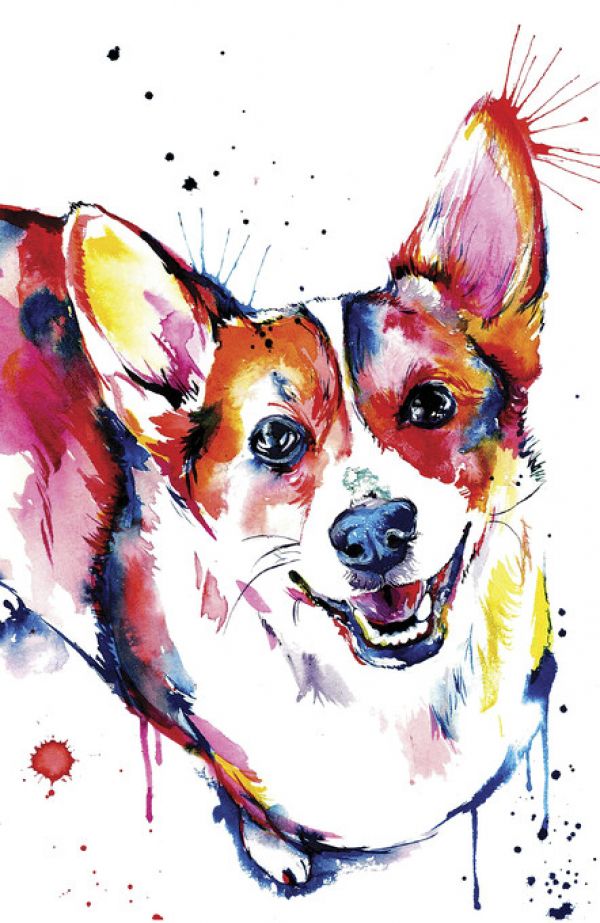 PHOTOWALL / Corgi (e329044)