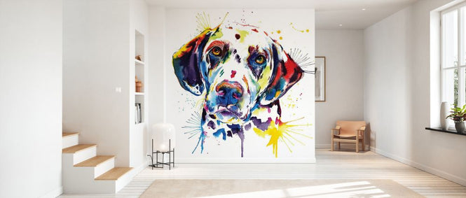 PHOTOWALL / Dalmatian (e329045)