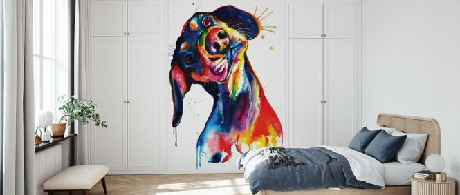 PHOTOWALL / Dachshund (e329046)