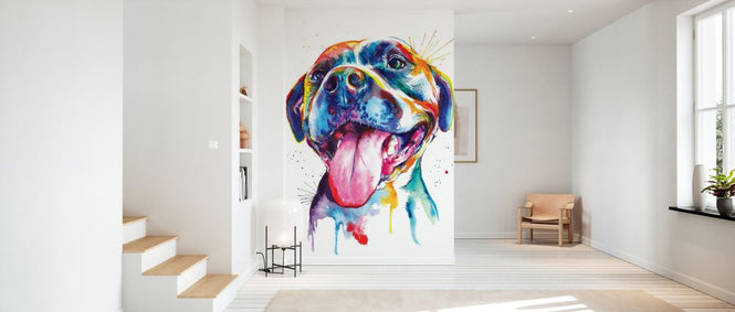 PHOTOWALL / Pitbull (e329054)