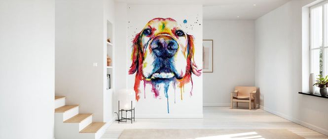 PHOTOWALL / Retriever (e329055)