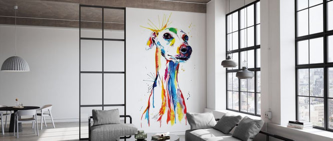 PHOTOWALL / Whippet Good (e329060)