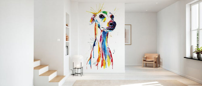 PHOTOWALL / Whippet Good (e329060)