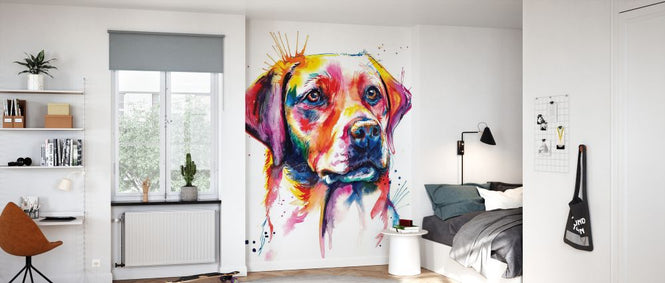 PHOTOWALL / Yellow Lab (e329061)