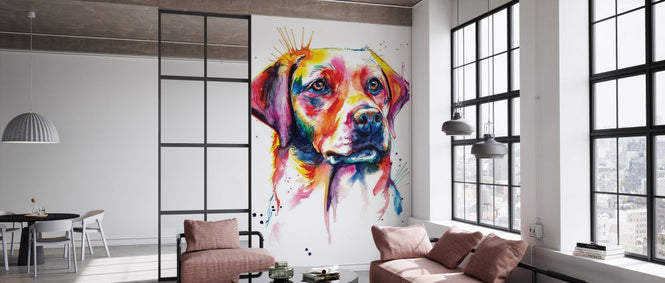 PHOTOWALL / Yellow Lab (e329061)