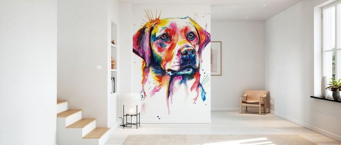 PHOTOWALL / Yellow Lab (e329061)