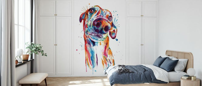 PHOTOWALL / Greyhound (e329069)