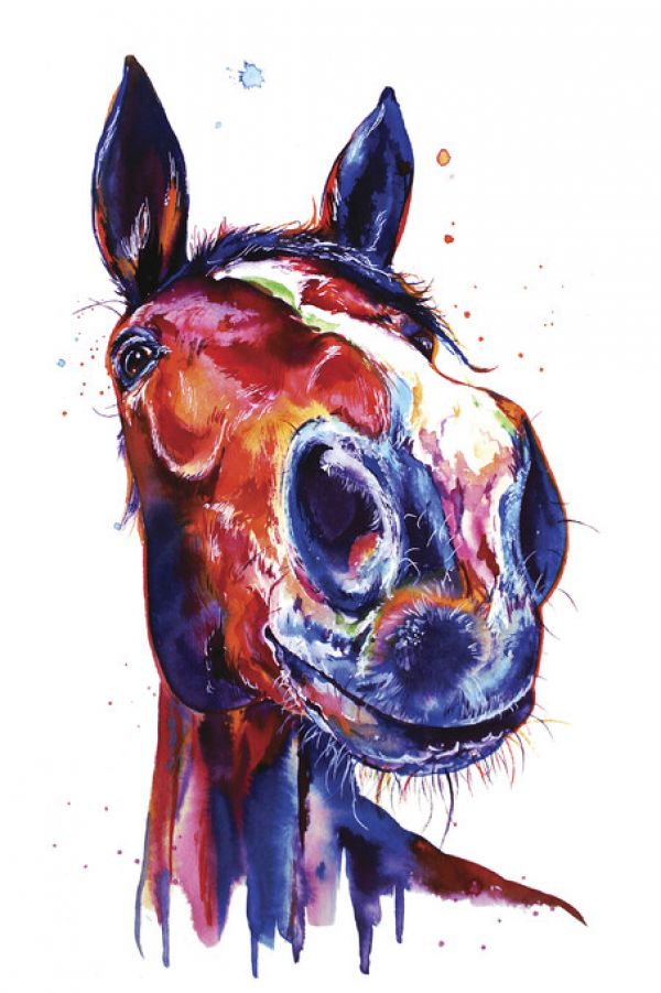 PHOTOWALL / Horse (e329070)