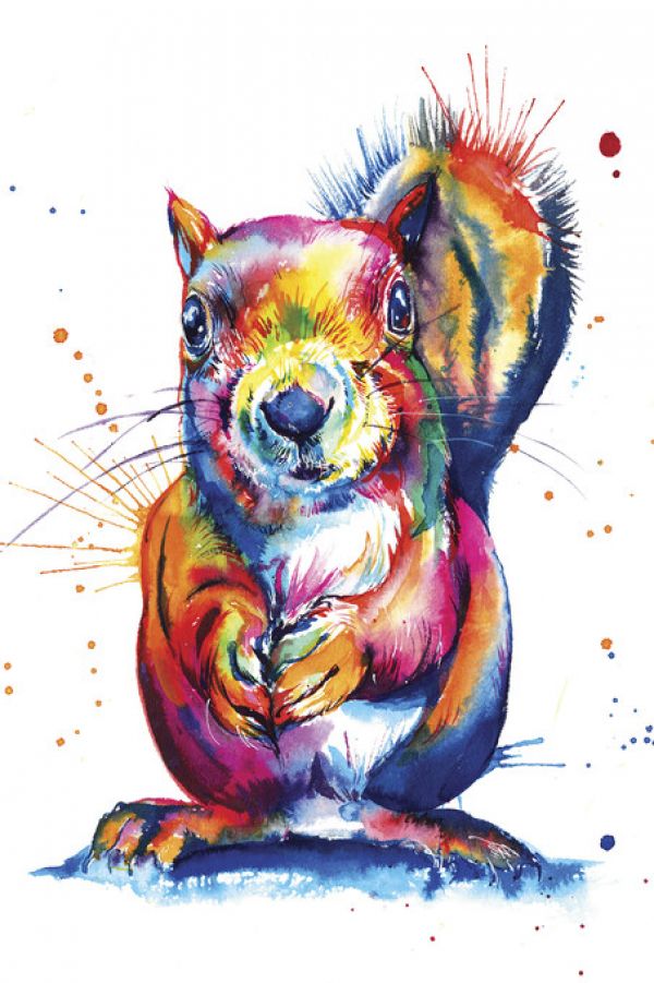 PHOTOWALL / Squirrel (e329074)