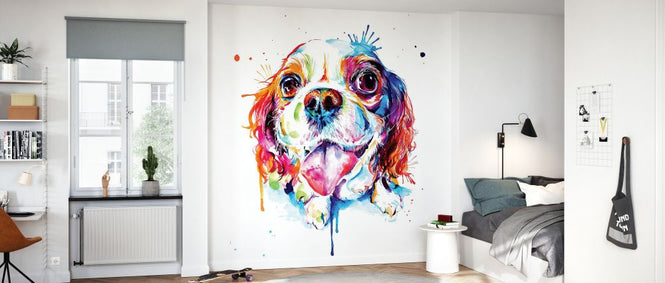 PHOTOWALL / Cavalier King Charles Spaniel (e329076)